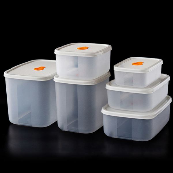 PP Food Container Mould